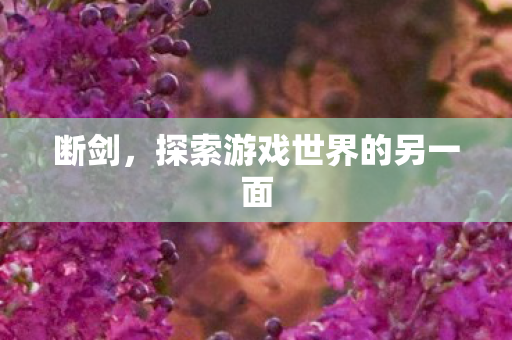 探索游戏世界的另一面图片