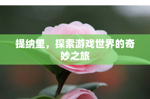 探索游戏世界的奇妙之旅图片
