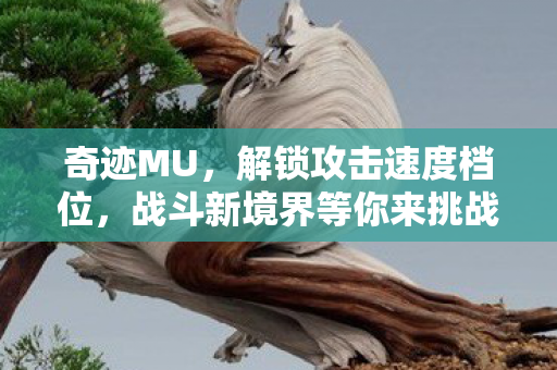 奇迹MU,解锁攻击速度档位,战斗新境界等你来挑战 奇迹MU,解锁攻击速度档位,战斗新境界等你来挑战