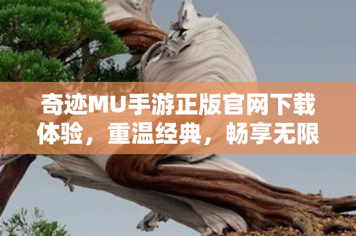 奇迹MU手游正版官网下载体验，重温经典，畅享无限乐趣！