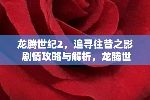 追寻往昔之影剧情攻略与深度解析图片