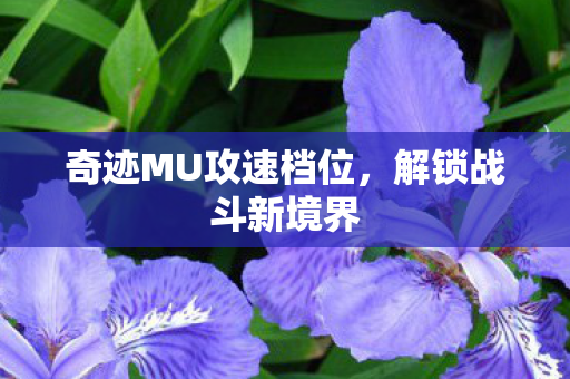 奇迹MU攻速档位,解锁战斗新境界 奇迹MU攻速档位,解锁战斗新境界