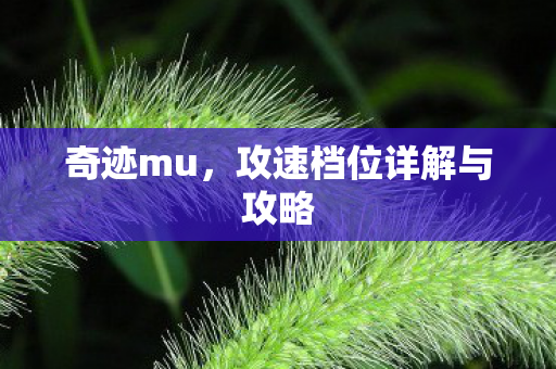 奇迹mu,攻速档位详解与攻略 奇迹mu,攻速档位详解与攻略