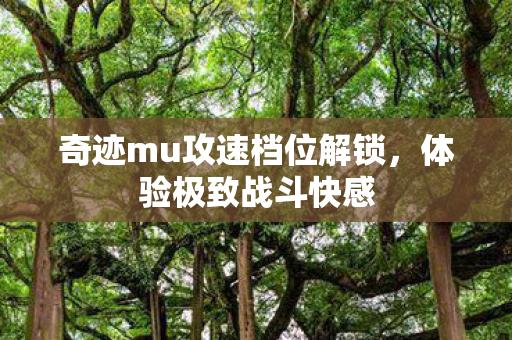 奇迹mu攻速档位解锁图片