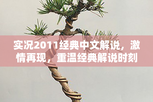实况2011经典中文解说图片