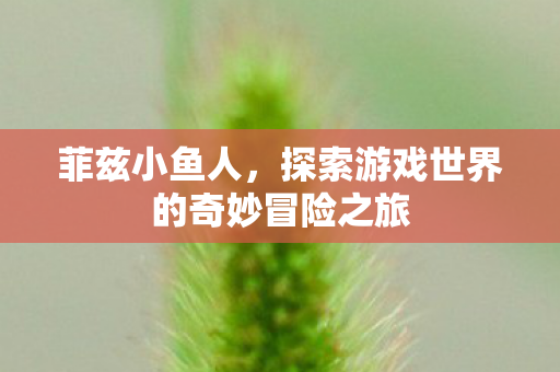 探索游戏世界的奇妙冒险之旅图片
