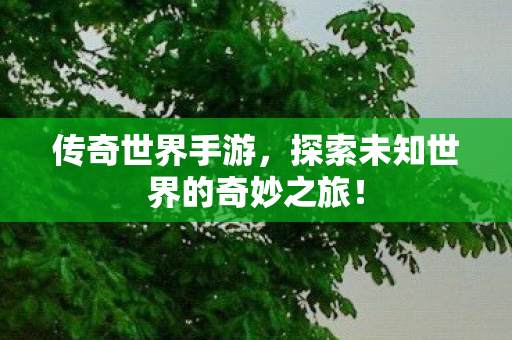 探索未知世界的奇妙之旅图片