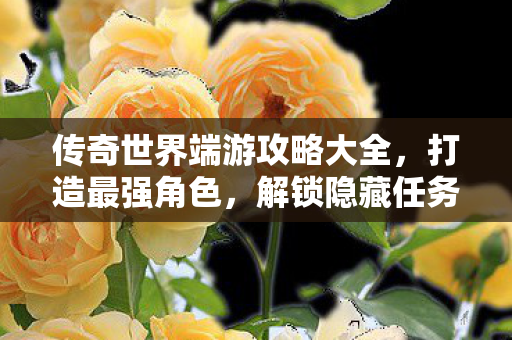 传奇世界端游攻略大全图片