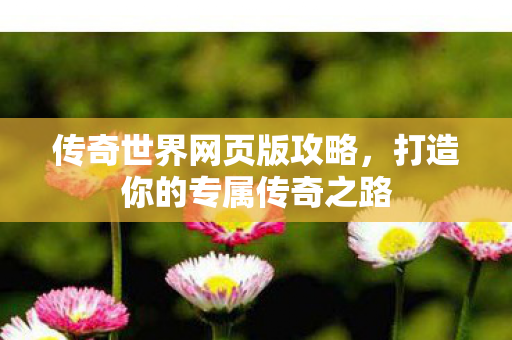 打造你的专属传奇之路图片