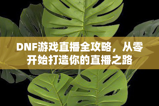 从零开始打造你的直播之路图片