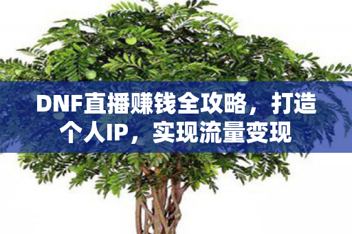 DNF直播赚钱全攻略图片