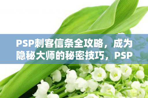 PSP刺客信条全攻略,成为隐秘大师的秘密技巧,PSP刺客信条全攻略,揭秘隐秘大师的秘密技巧 PSP刺客信条全攻略,成为隐秘大师的秘密技巧,PSP刺客信条全攻略,揭秘隐秘大师的秘密技巧