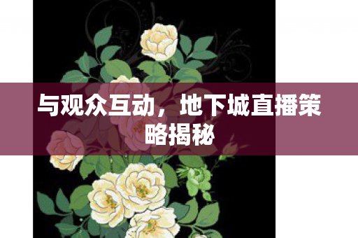 地下城直播策略揭秘图片