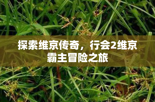 行会2维京霸主冒险之旅图片