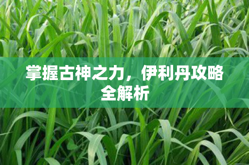 伊利丹攻略全解析图片