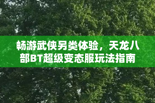 天龙八部BT超级变态服玩法指南图片