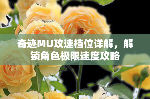 奇迹MU攻速档位详解，解锁角色极限速度攻略