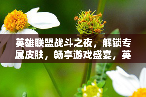 英雄联盟战斗之夜图片