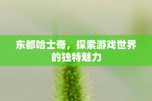 探索游戏世界的独特魅力图片