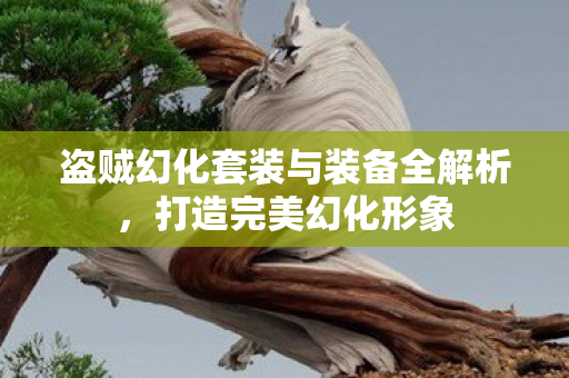 盗贼幻化套装与装备全解析图片