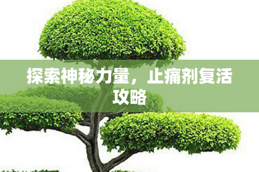 止痛剂复活攻略图片