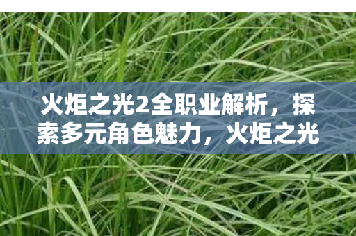火炬之光2全职业解析,探索多元角色魅力,火炬之光2全职业深度解析,多元角色魅力探索 火炬之光2全职业解析,探索多元角色魅力,火炬之光2全职业深度解析,多元角色魅力探索