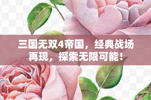 三国无双4帝国,经典战场再现,探索无限可能! 三国无双4帝国,经典战场再现,探索无限可能!