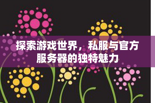 私服与官方服务器的独特魅力图片