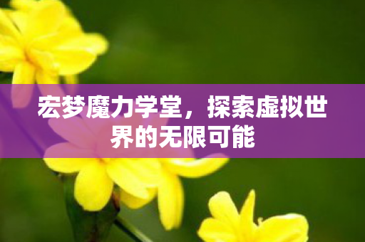 探索虚拟世界的无限可能图片