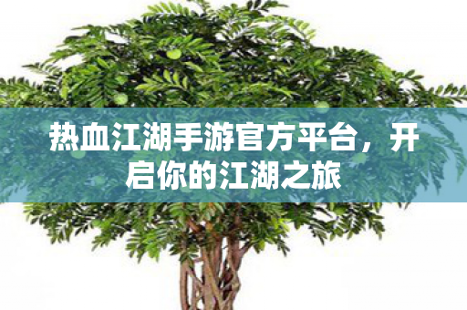 热血江湖手游官方平台,开启你的江湖之旅 热血江湖手游官方平台,开启你的江湖之旅