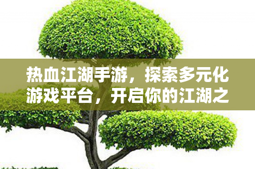 热血江湖手游，探索多元化游戏平台，开启你的江湖之旅！