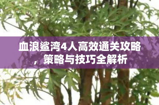 血浪鲨湾4人高效通关攻略,策略与技巧全解析 血浪鲨湾4人高效通关攻略,策略与技巧全解析