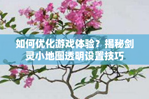 揭秘剑灵小地图透明设置技巧图片