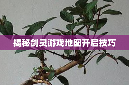 揭秘剑灵游戏地图开启技巧图片
