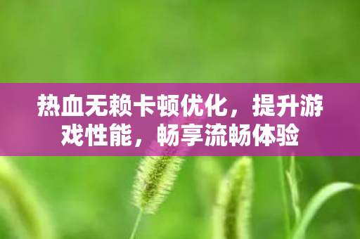 热血无赖卡顿优化图片