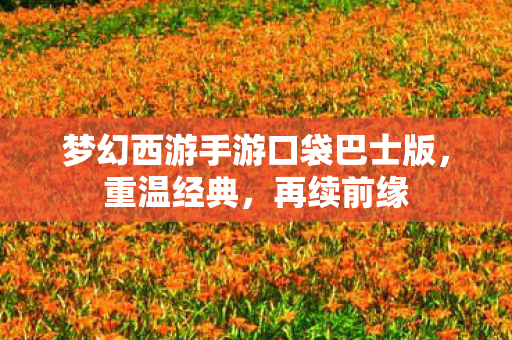 梦幻西游手游口袋巴士版图片
