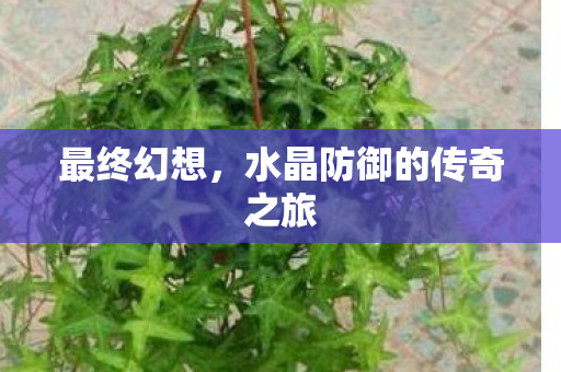 最终幻想,水晶防御的传奇之旅 最终幻想,水晶防御的传奇之旅