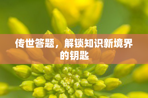 解锁知识新境界的钥匙图片