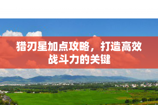 打造高效战斗力的关键图片