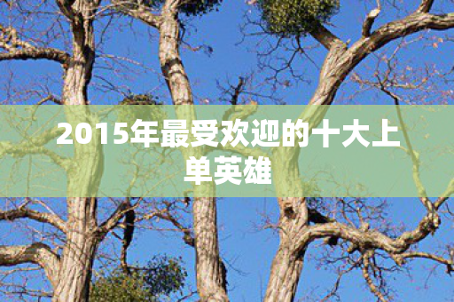 2015年最受欢迎的十大上单英雄图片