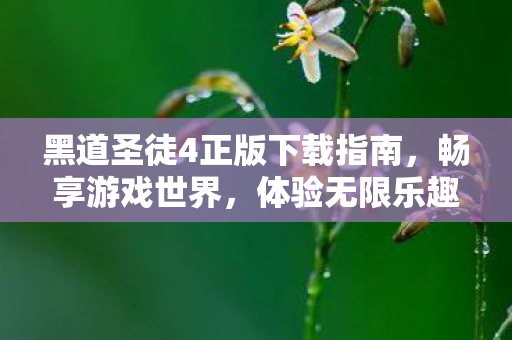 黑道圣徒4正版下载指南,畅享游戏世界,体验无限乐趣! 黑道圣徒4正版下载指南,畅享游戏世界,体验无限乐趣!