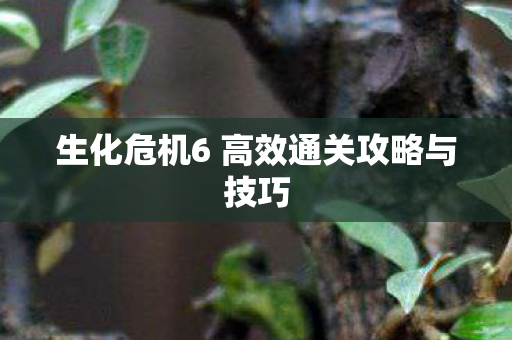 生化危机6 高效通关攻略与技巧 生化危机6 高效通关攻略与技巧