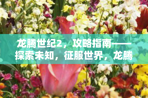 龙腾世纪2攻略图片