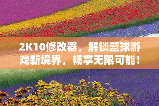 2K10修改器,解锁篮球游戏新境界,畅享无限可能! 2K10修改器,解锁篮球游戏新境界,畅享无限可能!