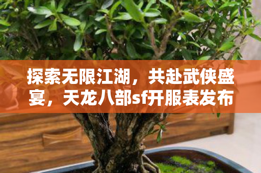 天龙八部sf开服表发布图片