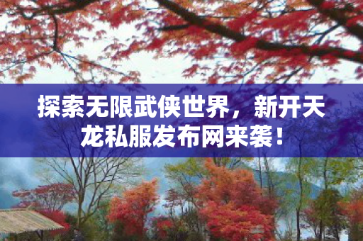 新开天龙私服发布网来袭图片