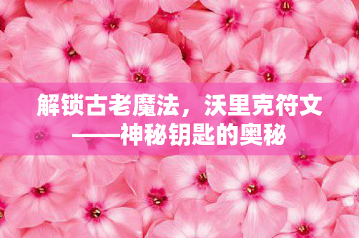 神秘钥匙的奥秘图片