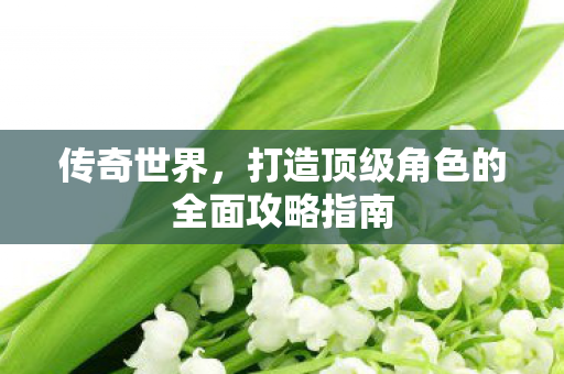 打造顶级角色的全面攻略指南图片
