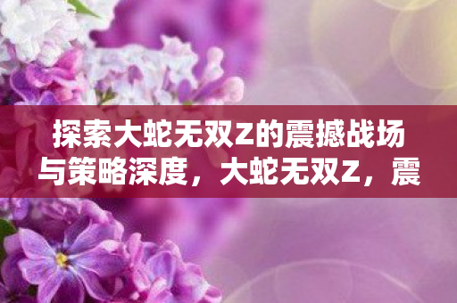 探索大蛇无双Z的震撼战场与策略深度图片