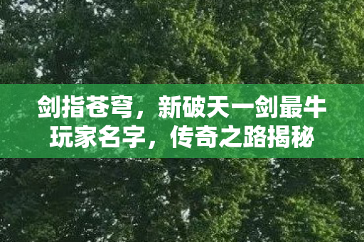 新破天一剑最牛玩家名字图片